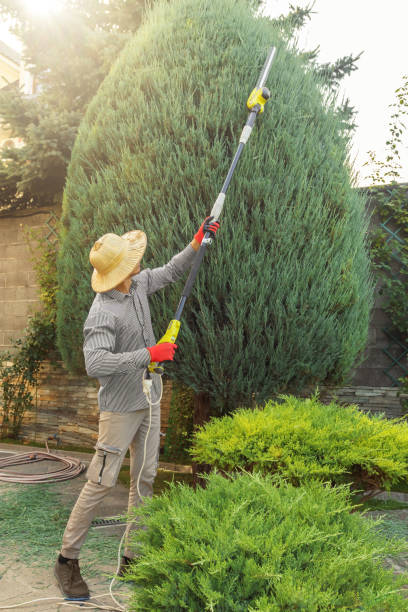 Best Pest Control for Lawns  in North Bend, WA